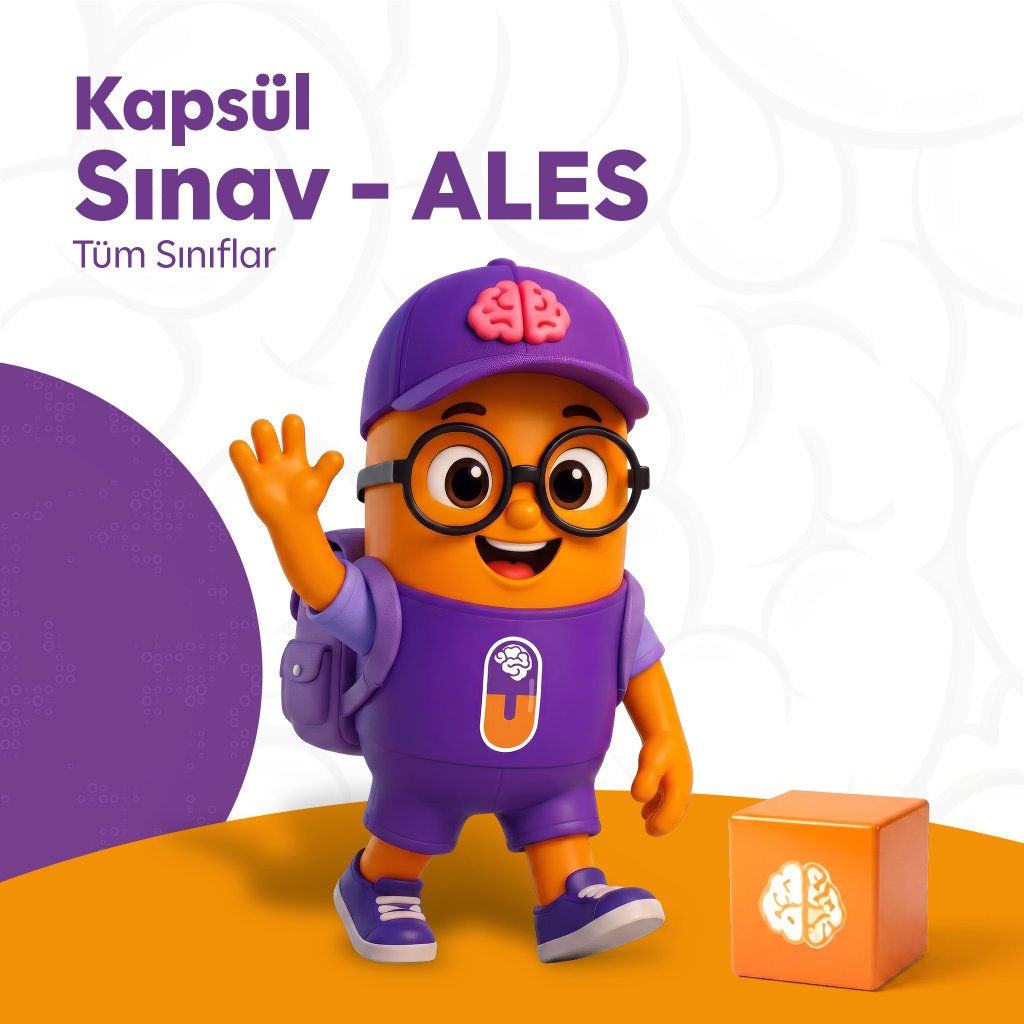 Kapsül Sınav - ALES