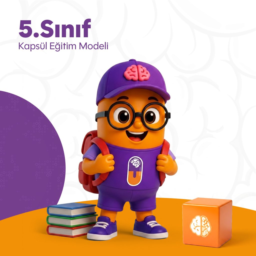 Kapsül Eğitim Modeli - 5.Sınıf