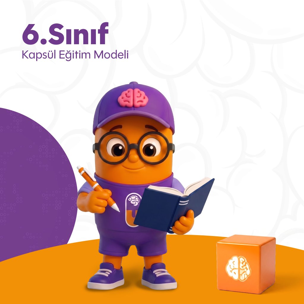 Kapsül Eğitim Modeli - 6.Sınıf
